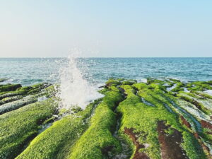 Seaside Green reefs