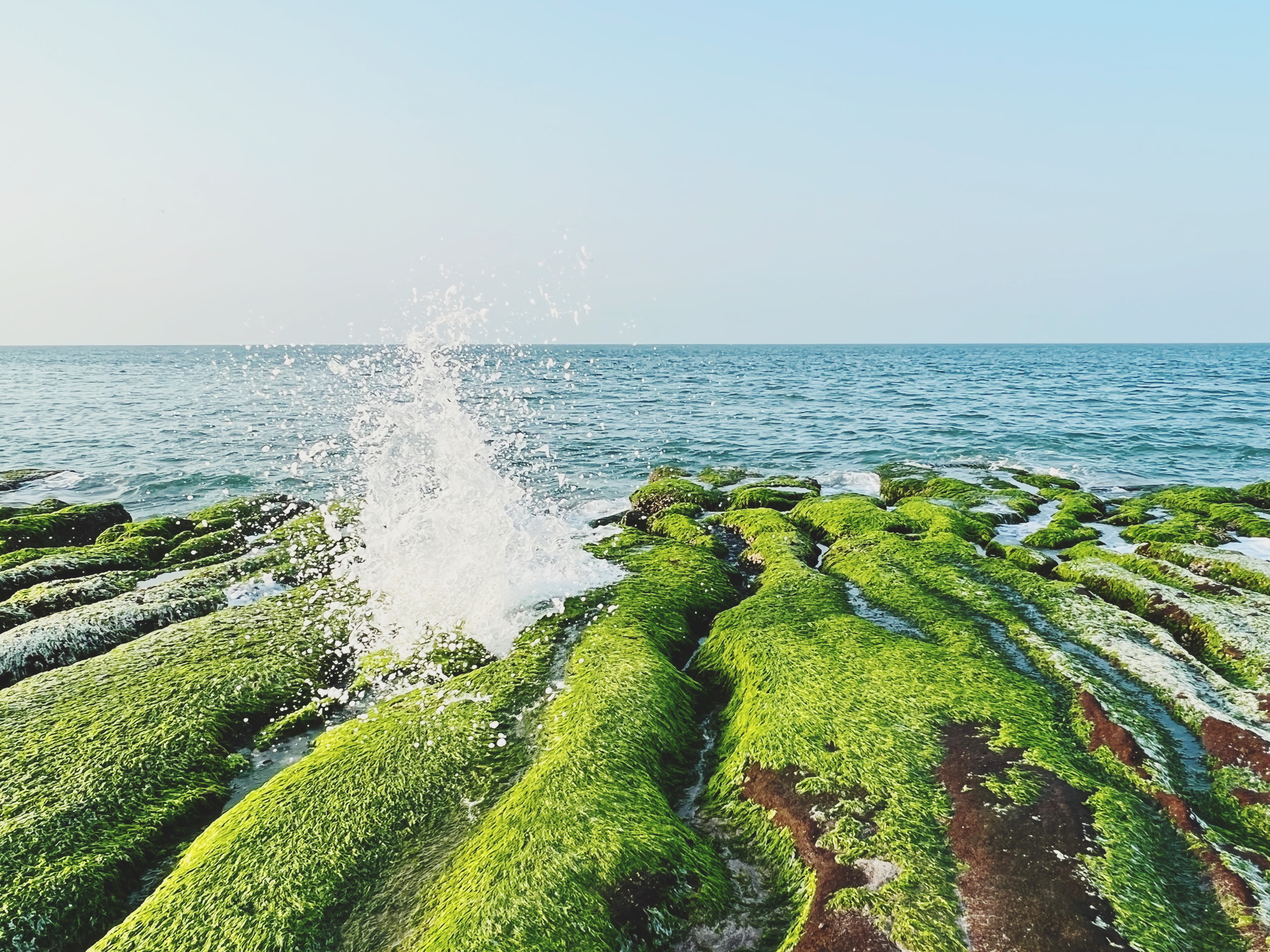 Seaside Green reefs
